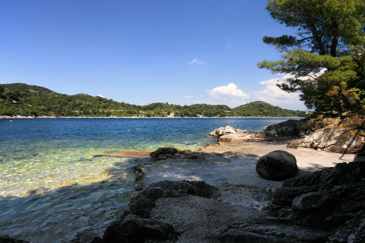 Apartments By The Sea Sobra, Mljet - 4908 Babino Polje Eksteriør bilde
